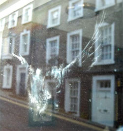 птица ударилась в окно и улетела примета